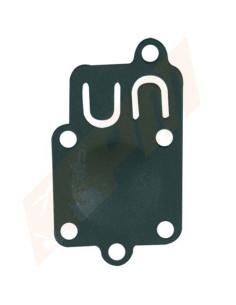 Membrane  Briggs &amp; Stratton 270026