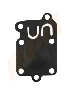Membrane Carburateur Briggs &amp; Stratton 272538
