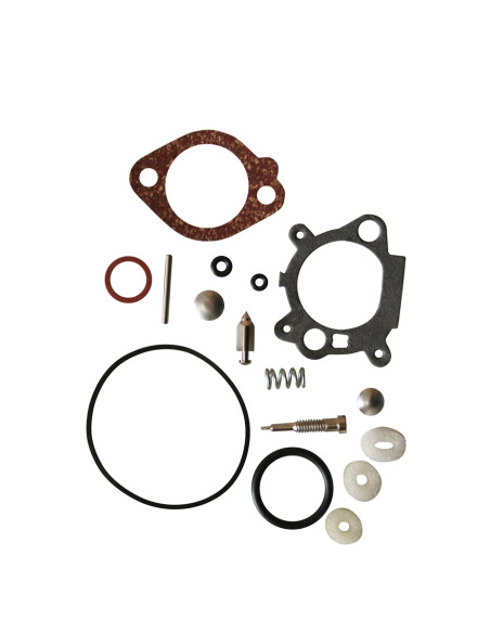 Kit carburateur pour BRIGGS &amp; STRATTON 498260, 493762