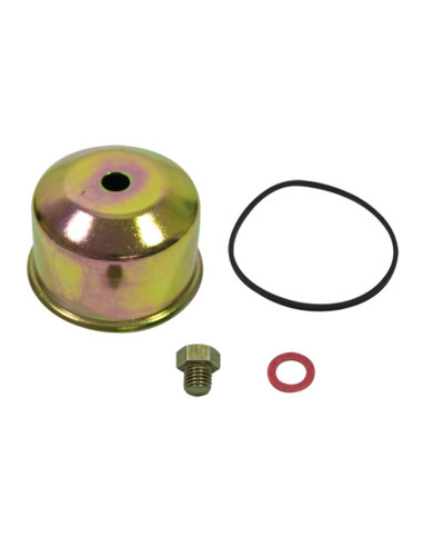 Cuve carburateur Briggs &amp; Stratton 495933 - 494378