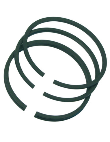 Segments Briggs &amp; Stratton 298174 pour modèles 100000 - 4 ch