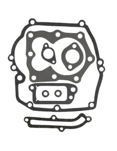 Pochette joint Briggs &amp; Stratton 497316 - 590508 -794307