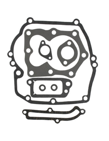 Pochette joint Briggs &amp; Stratton 497316 - 590508 -794307