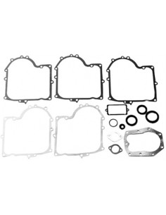 Kit joint Briggs &amp; Stratton 494241, 490525
