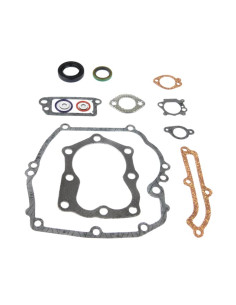 Kit joints pour Briggs &amp; Stratton 496117, 493263