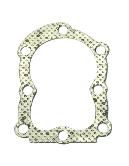 Joint de culasse Briggs &amp; Stratton 272167 , 027670