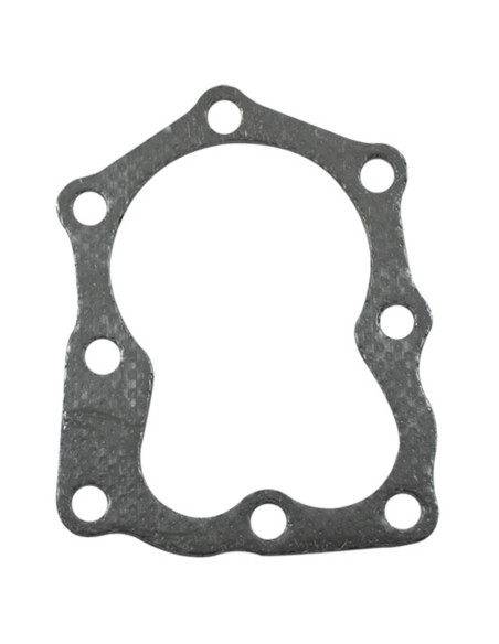 Joint de culasse Briggs &amp; Stratton 272200