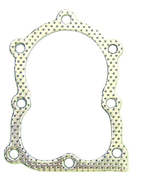 Joint de culasse Briggs &amp; Stratton 270340