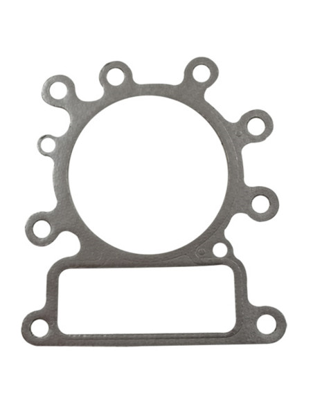 Joint de culasse Briggs &amp; Stratton 273280