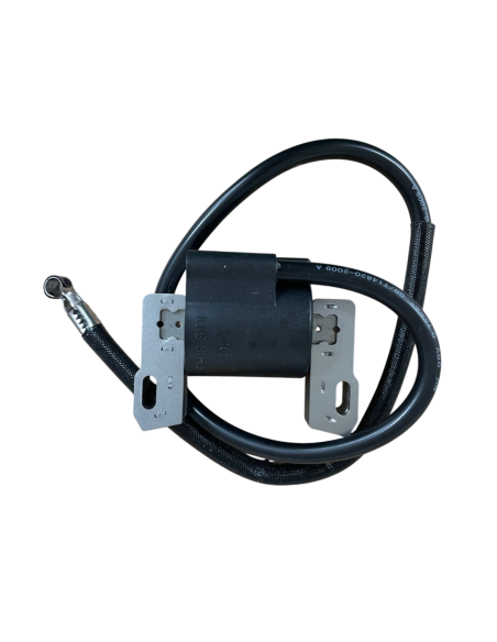 Bobine d'allumage pour BRIGGS &amp; STRATTON 398811, 395492, 398265