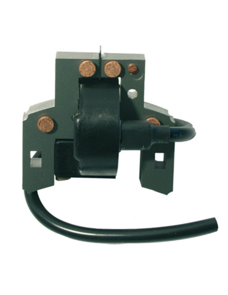 Bobine d'allumage pour BRIGGS &amp; STRATTON 397358, 697037, 395491