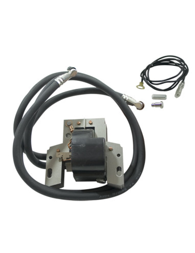 Bobine d'allumage pour Briggs &amp; Stratton 394891