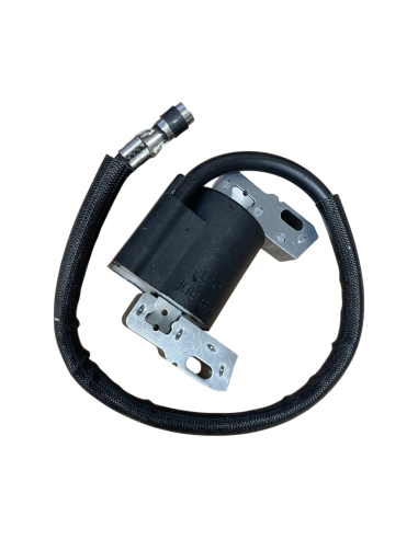 Bobine d'allumage pour Briggs &amp; Stratton 492341, 490586,495859,799650