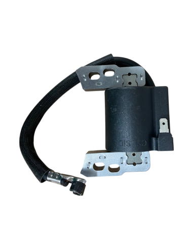 Bobine d'allumage pour Briggs &amp; Stratton 802574-493237-492416- 695711