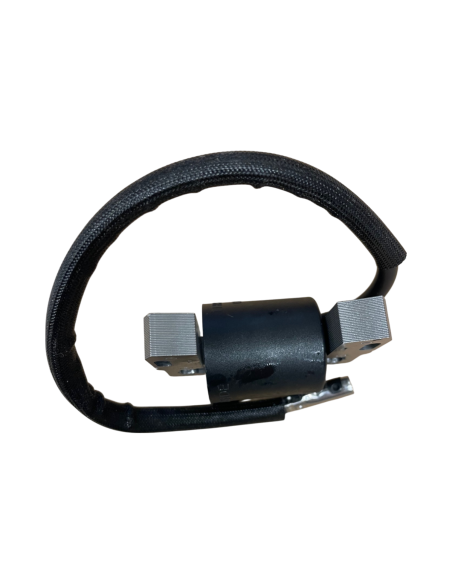 Bobine d'allumage pour Briggs &amp; Stratton 492341, 490586,495859,799650