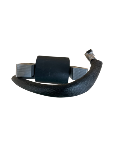 Bobine d'allumage pour Briggs &amp; Stratton 802574-493237-492416- 695711