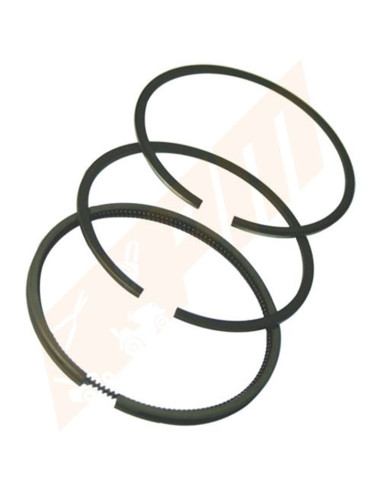 Jeu de segments  Briggs &amp; Stratton 493261