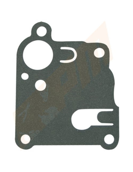 Membrane pour  BRIGGS &amp; STRATTON 270253