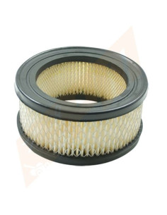 Filtre à air pour BRIGGS &amp; STRATTON 392286