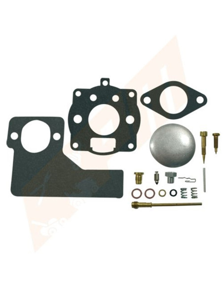 Kit réparation carburateur pour BRIGGS &amp; STRATTON 391071