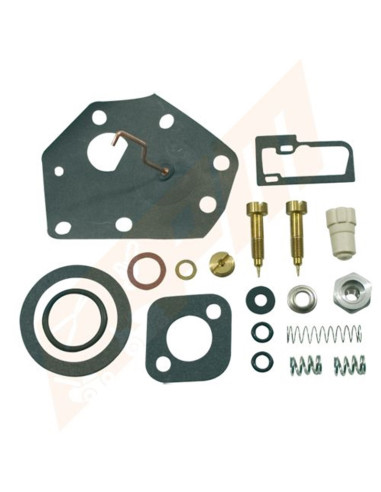 Kit réparation carburateur pour BRIGGS &amp; STRATTON 494622
