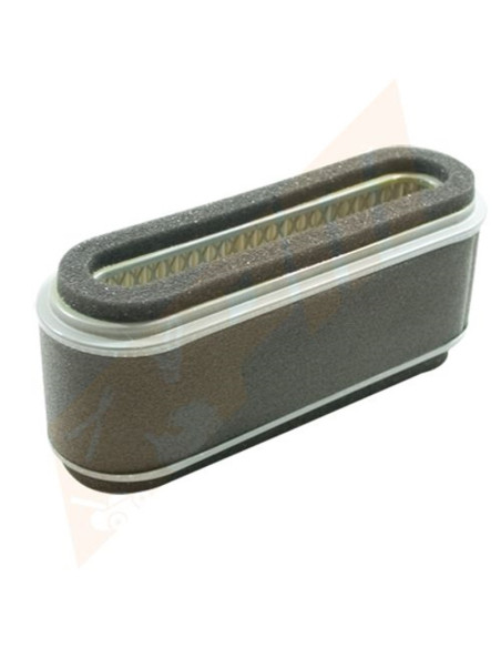 Filtre à air pour Kawasaki FB460V 11013-2021