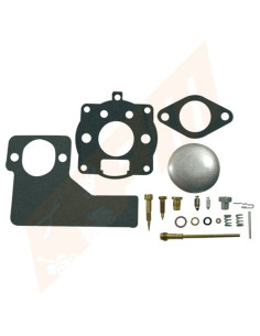 Kit réparation carburateur pour BRIGGS &amp; STRATTON 394989