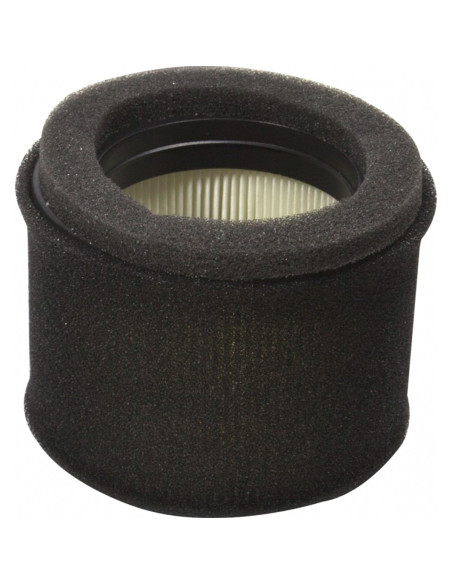 Filtre à air pour Kawasaki 110297023 pour FJ180V