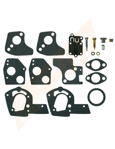 Kit réparation carburateur pour BRIGGS &amp; STRATTON 495606, 494624