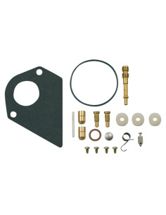 Kit réparation carburateur pour BRIGGS &amp; STRATTON 497481, 496622