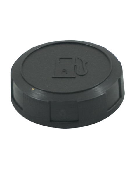 Bouchon Briggs &amp; Stratton 493988-795027