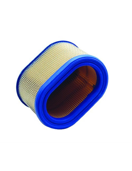 Filtre à air Briggs &amp; Stratton 695302