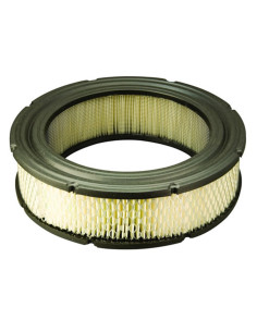 Filtre à air pour BRIGGS et STRATTON 692519