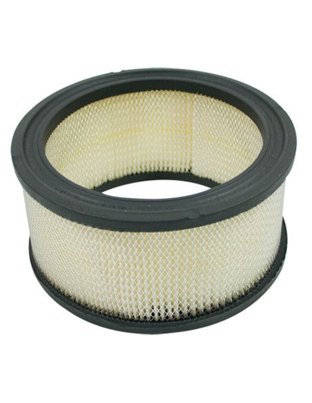 Filtre à air pour Kohler magnum k341-m10. 4508302