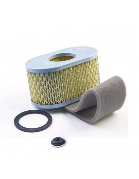 Filtre à air pour Briggs &amp; Stratton 797033 - 798504 - 797032