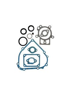 Pochette de joints pour BRIGGS &amp; STRATTON 798800