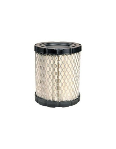 Filtre à air pour BRIGGS &amp; STRATTON 798897