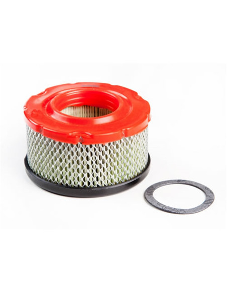 Filtre à air BRIGGS &amp; STRATTON 797819