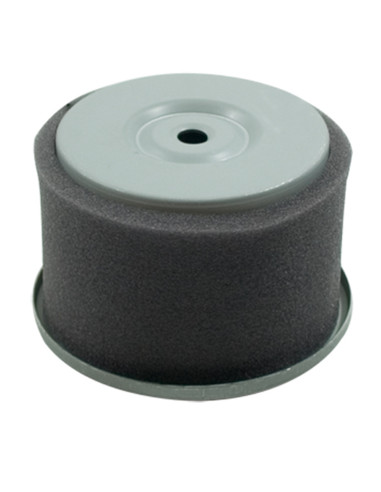 Filtre à air pour Robin EY2273280317, EY2273280307 modèle W1