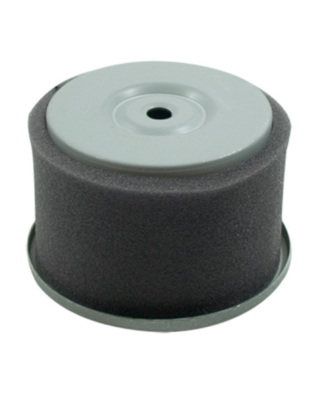 Filtre à air pour Robin EY2273280317, EY2273280307 modèle W1