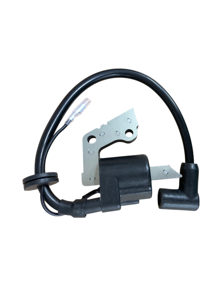 Bobine d'allumage Moteur Robin Subaru EY15