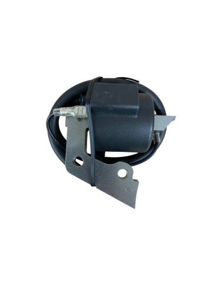 Bobine d'allumage pour Robin EY20D