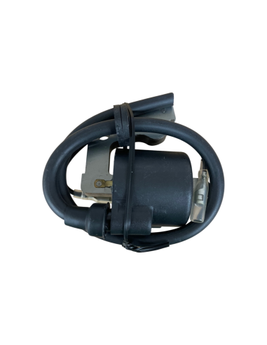 Bobine d'allumage pour Robin EY20D