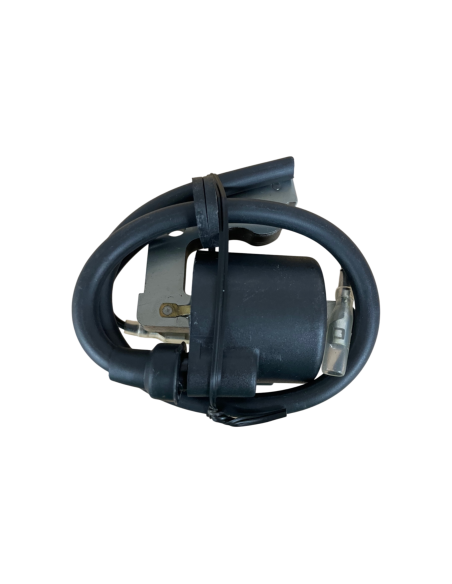 Bobine d'allumage pour Robin EY20D