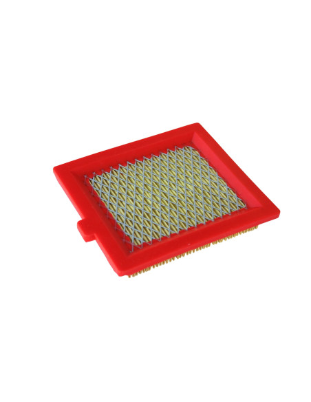 Filtre à air pour CASTELGARDEN - GGP 18550147/0 
