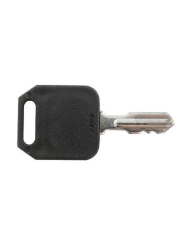 Clé de démarrage AYP-Roper 140401