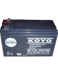 Batterie CP7-12 pour GGP EL63