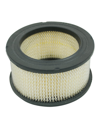 Filtre à air pour TECUMSEH 31925