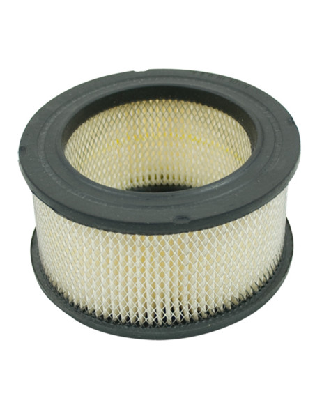 Filtre à air pour TECUMSEH 31925