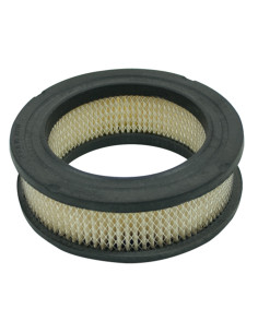 Filtre à air TECUMESH 30804